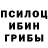 Псилоцибиновые грибы ЛСД Calum McCarthy
