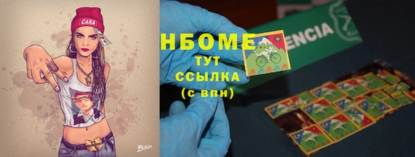 соль ск Дмитриев
