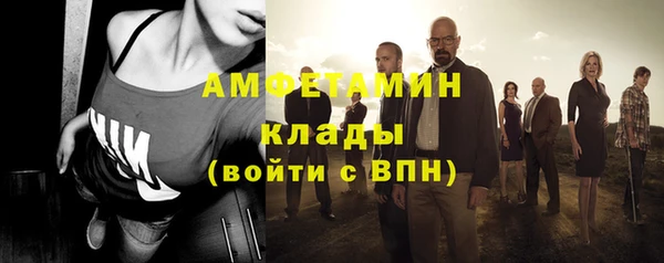 соль ск Дмитриев