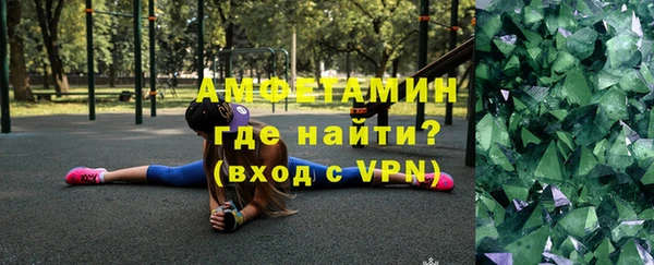 соль ск Дмитриев