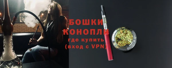 соль ск Дмитриев