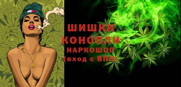соль ск Дмитриев
