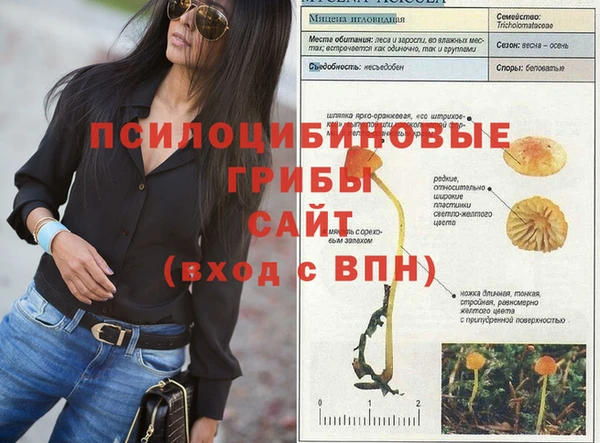 соль ск Дмитриев