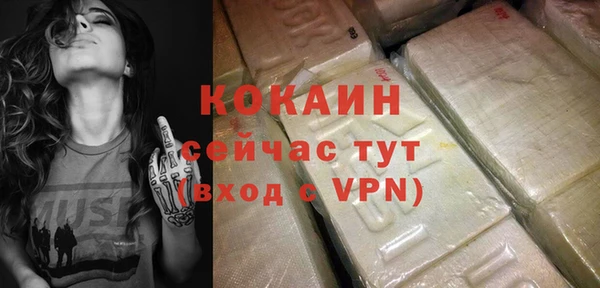 стафф Дмитров