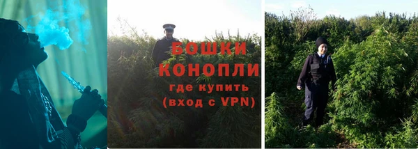 стафф Дмитров